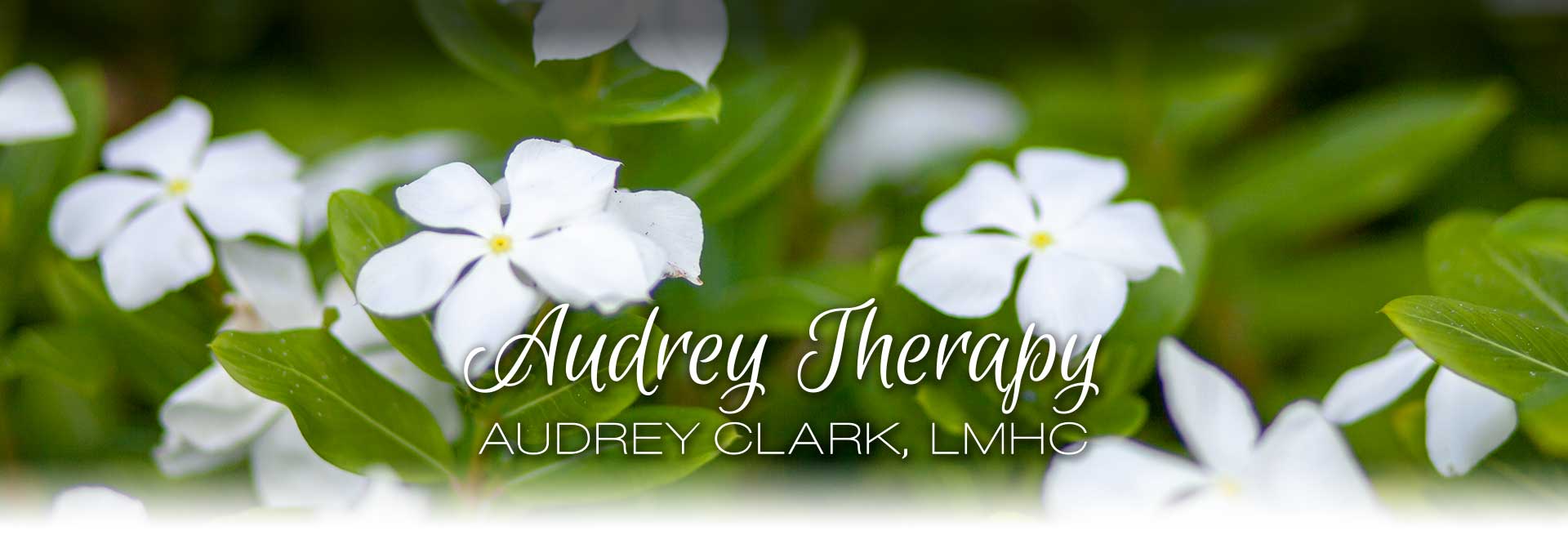 South Tampa Grief Therapy by Audrey Clark, LMHC