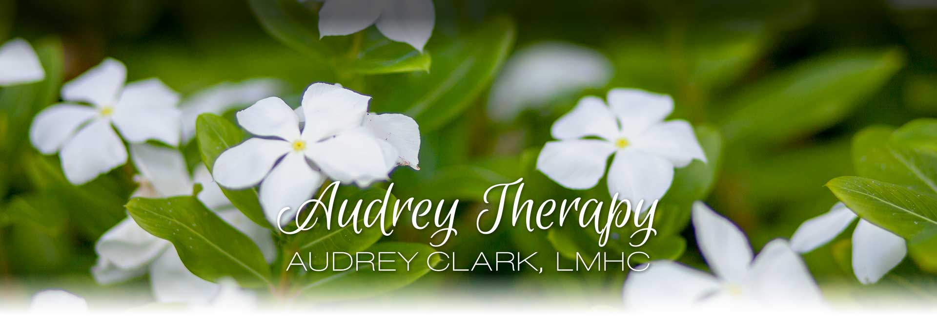 South Tampa Grief Therapy by Audrey Clark, LMHC