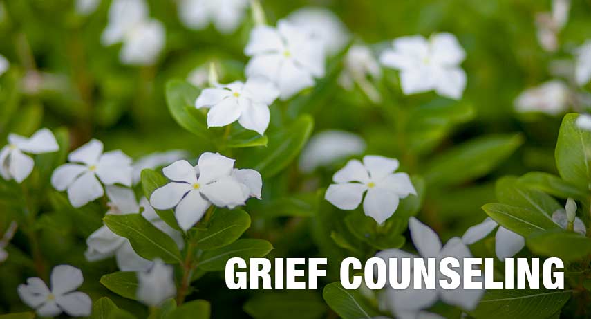 Grief Counseling and Bereavement Therapy in South Tampa, Florida