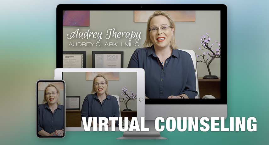 Virtual Counseling for Tampa and across Florida